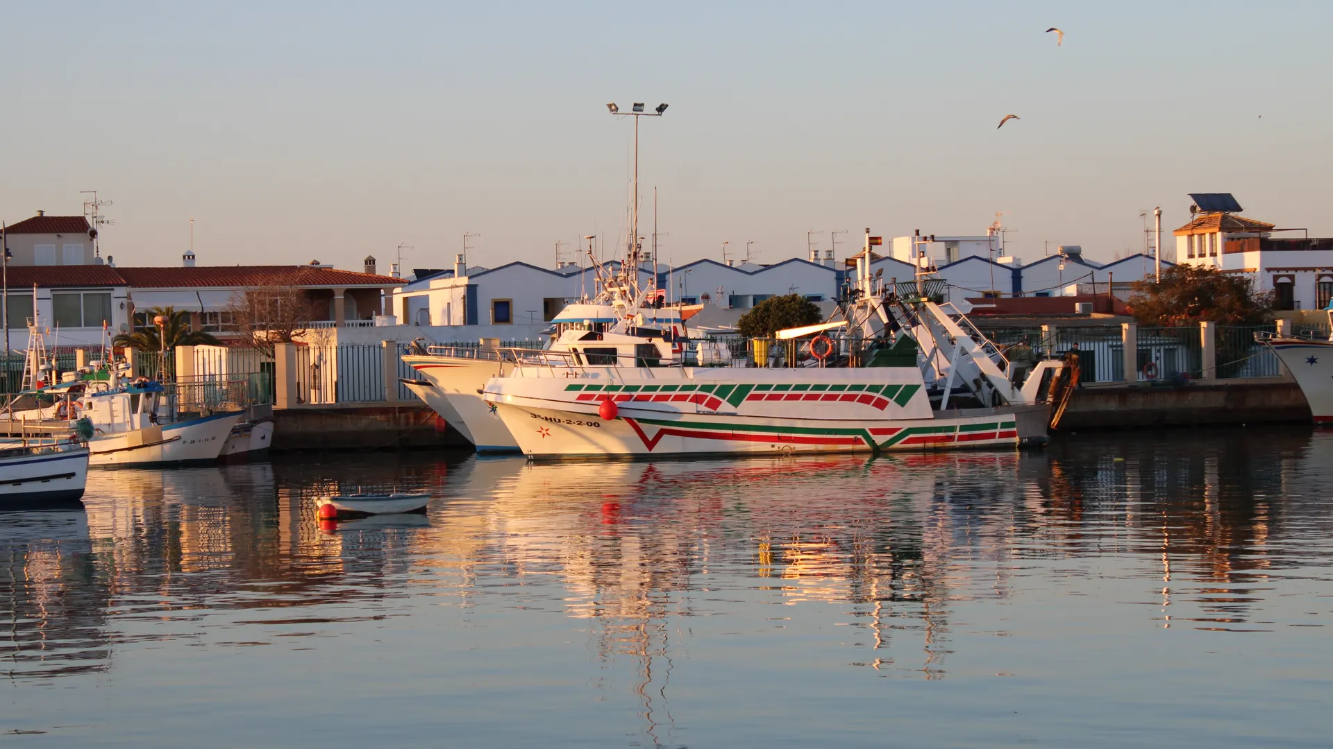 Barcos de pesca en el puerto de Isla Cristina al atardecer