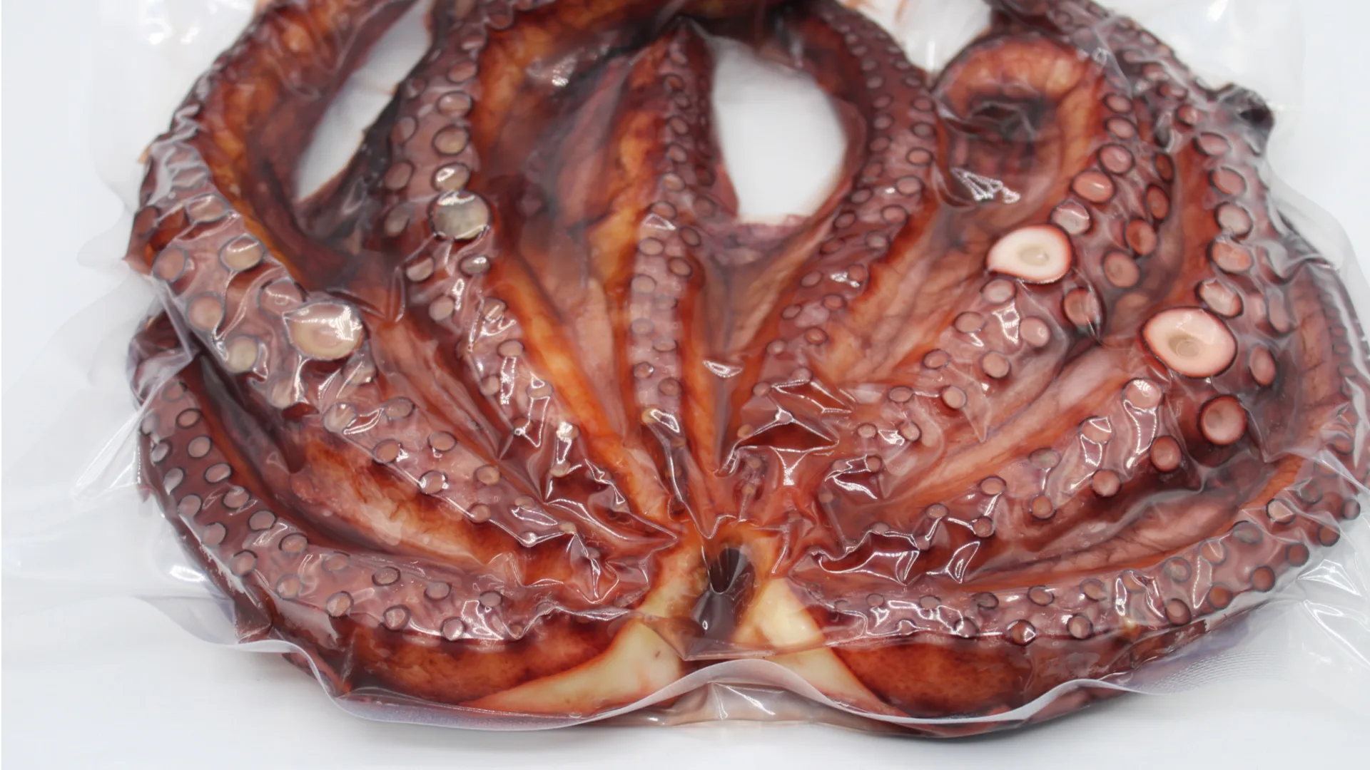 Pulpo cocido envasado al vacio.