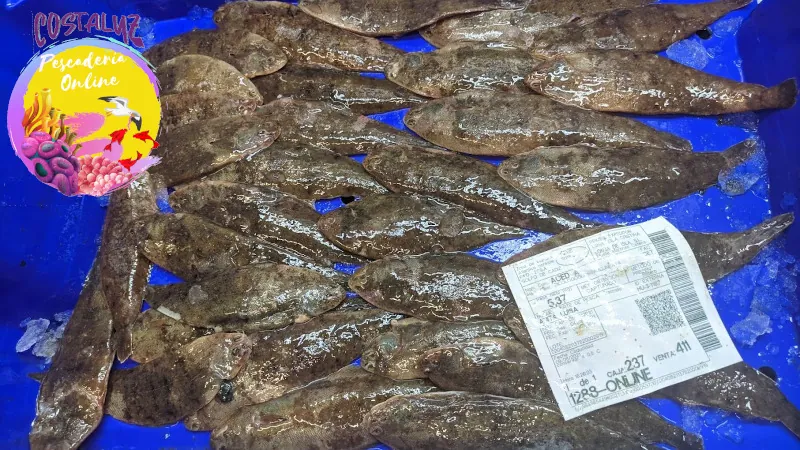 Acedias frescas de trasmallo