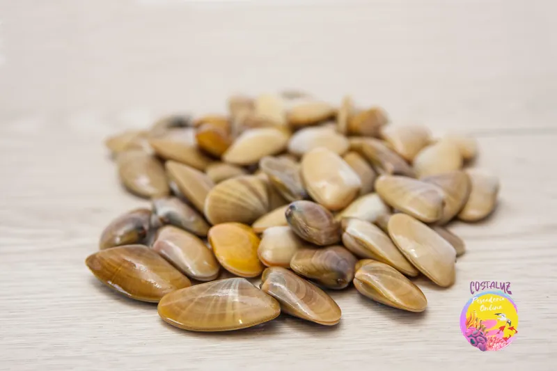 Comprar coquina de Huelva