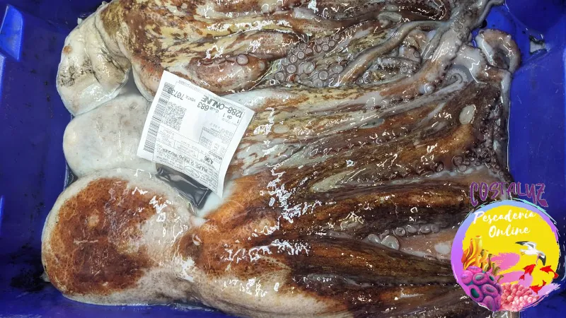 Comprar pulpo fresco de Huelva