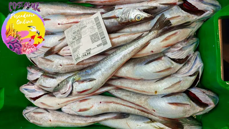 Pescadilla o pescada de Huelva