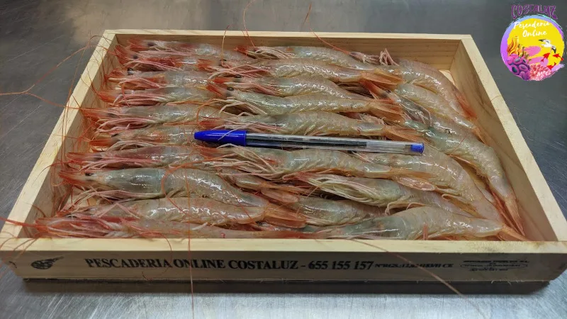 Gamba blanca de Huelva de la lonja de Isla Cristina