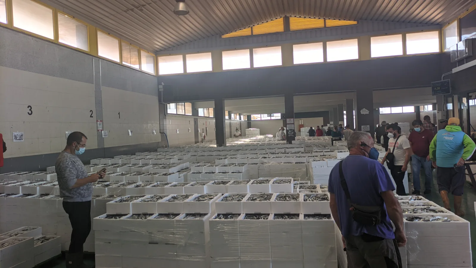 Preparando el marisco en nuestras instalaciones