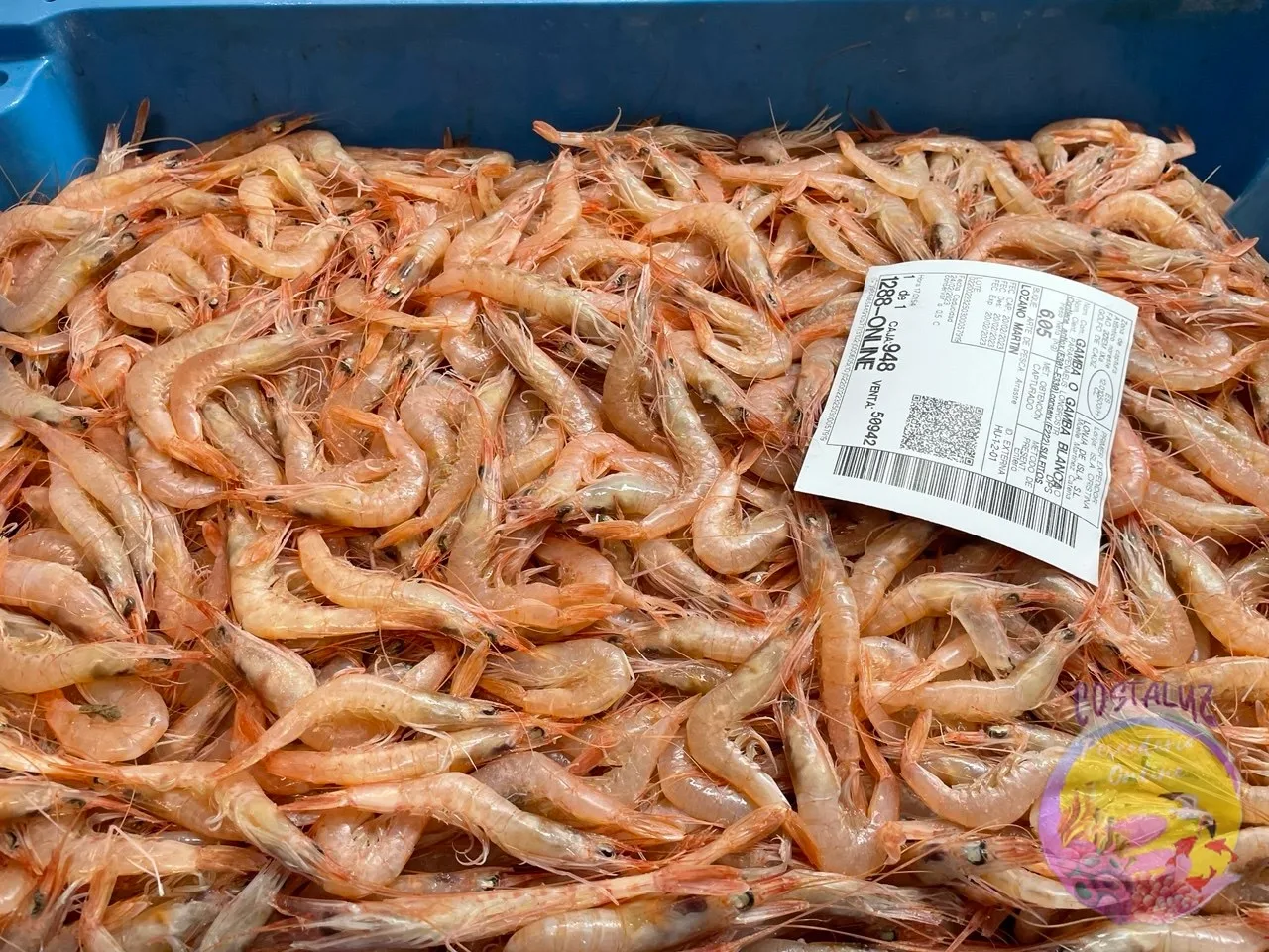 Gamba blanca de Huelva a domicilio