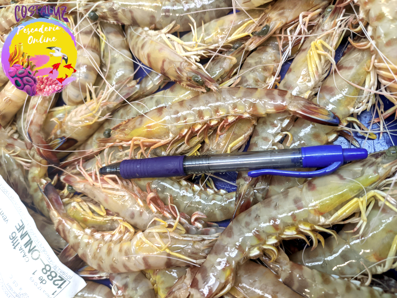 Comprar Langostino de Sanlúcar Extra a domicilio — foto 3 de 5