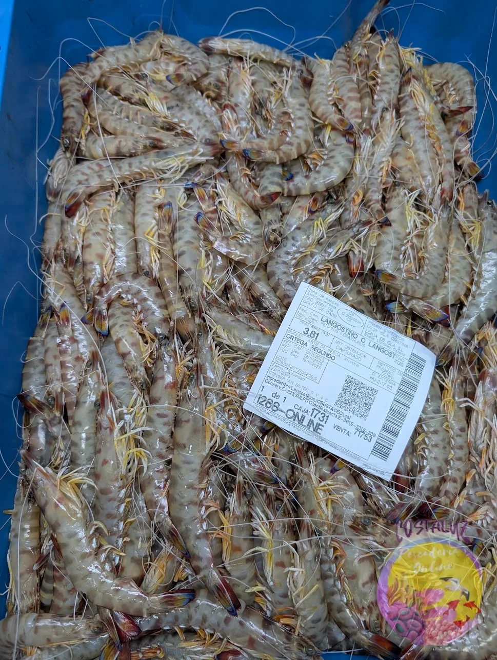Comprar Langostino de Sanlúcar 60/75 | 500 g — foto 2 de 5
