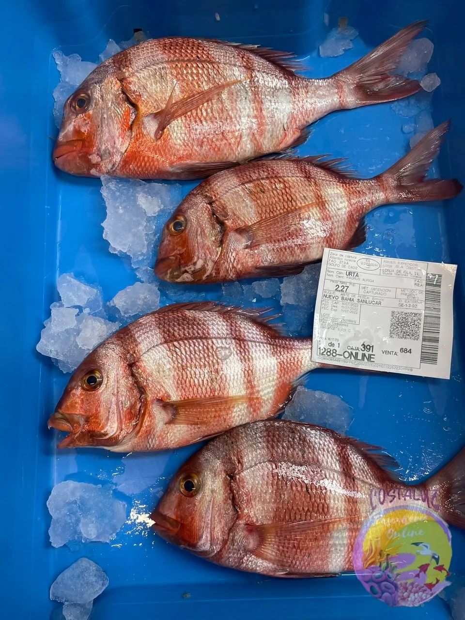 Urtas- pescado fresco