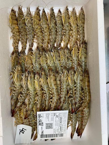 Comprar Langostino de Sanlúcar Extra a domicilio — foto 4 de 5