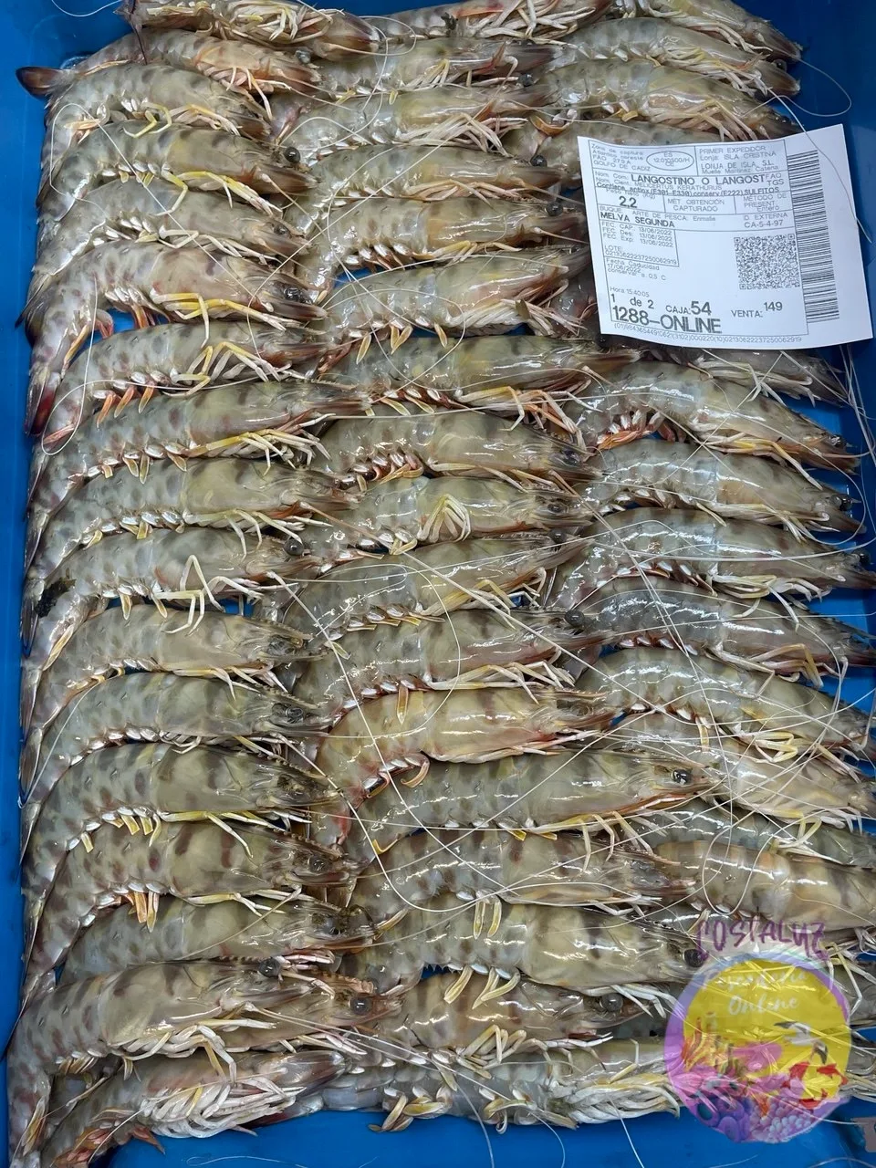 Comprar Langostino de Sanlúcar 60/75 | 500 g — foto 3 de 5