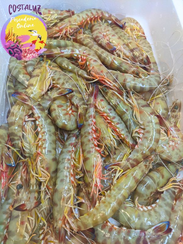 Comprar Langostino de Sanlúcar Extra a domicilio