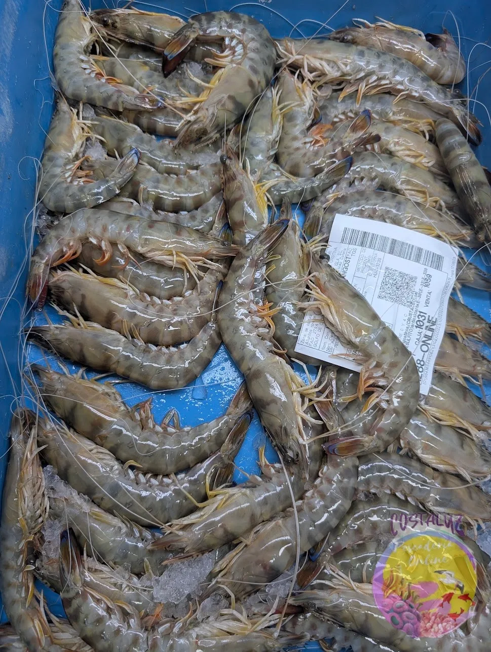 Comprar Langostino de Sanlúcar 60/75 | 500 g — foto 4 de 5