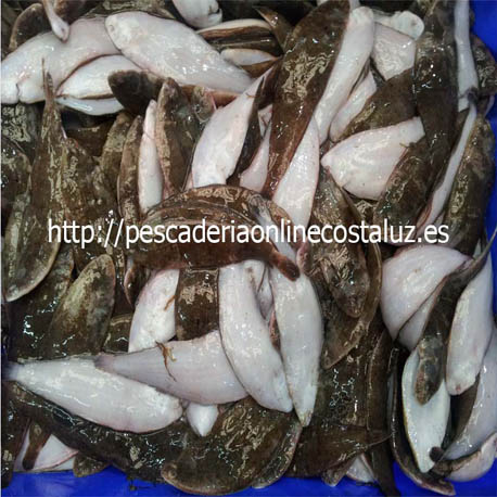 Comprar acedia fresca(Pesca artesanal)
