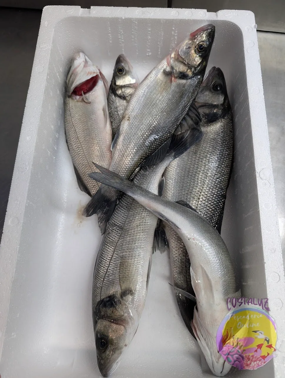 Lubina o robalo salvaje a domicilio