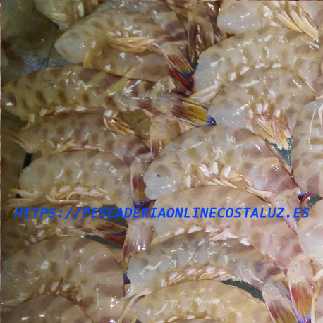 Comprar Langostino de Sanlúcar Extra a domicilio — foto 5 de 5