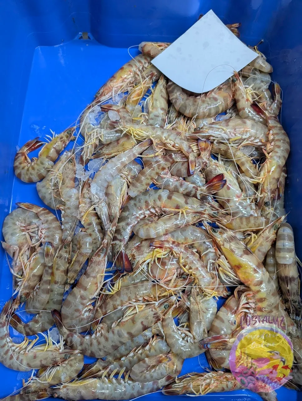 Comprar Langostino de Sanlúcar 60/75 | 500 g — foto 5 de 5