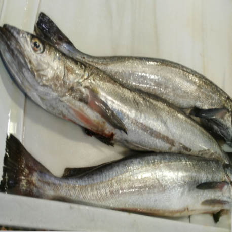 Comprar merluza de pincho a domicilio — foto 3 de 3