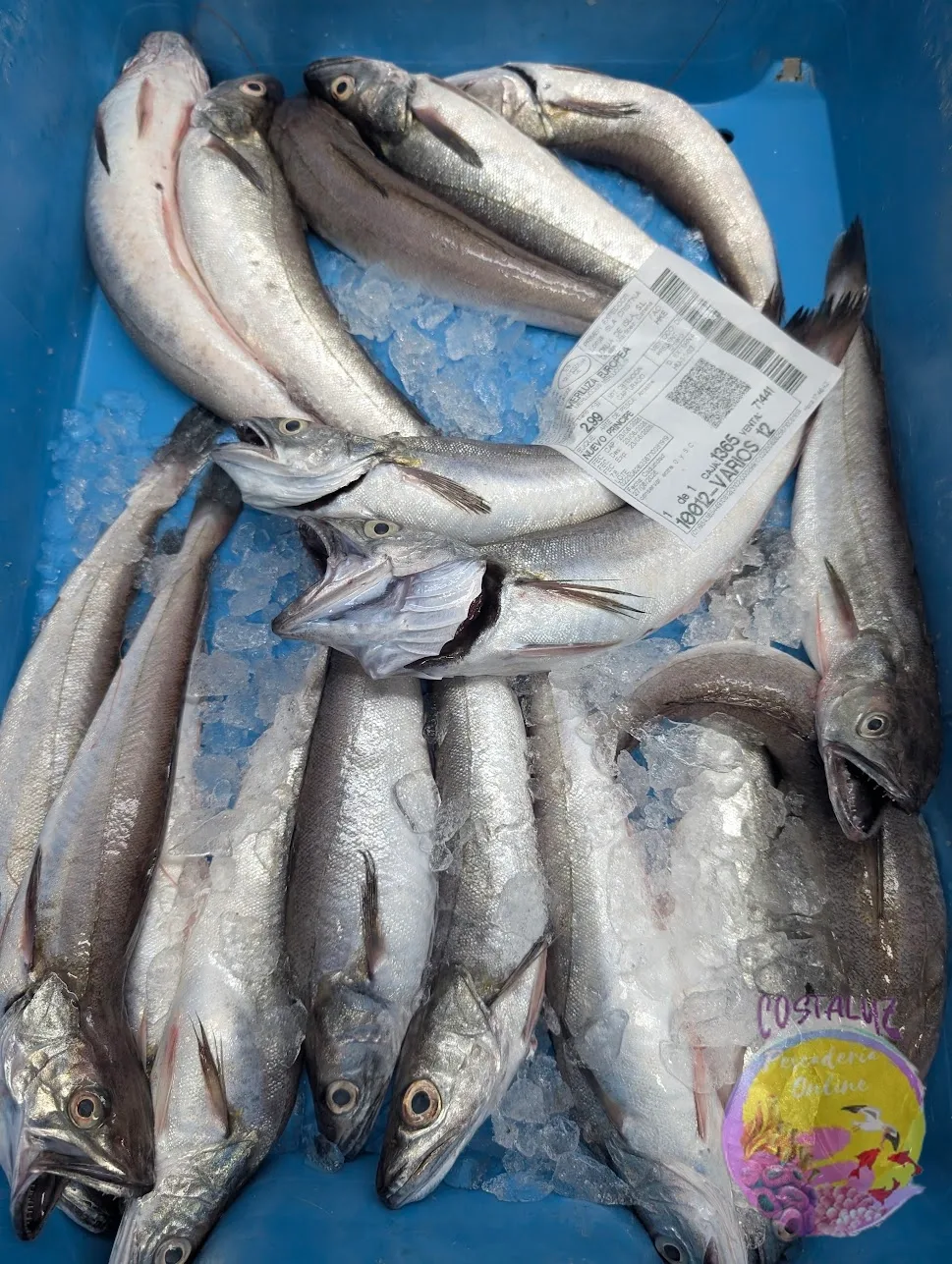 Comprar pescadilla fresca de Huelva 500 g — foto 2 de 3