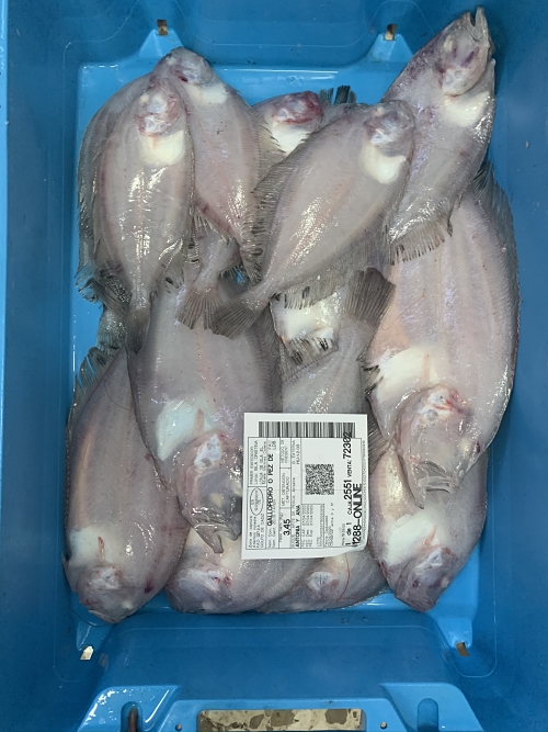 Pez gallo