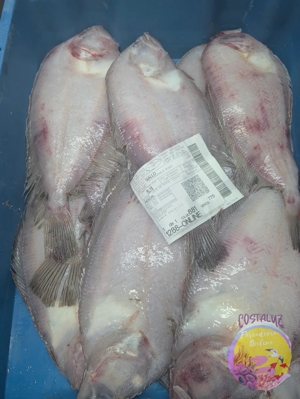 Pez gallo