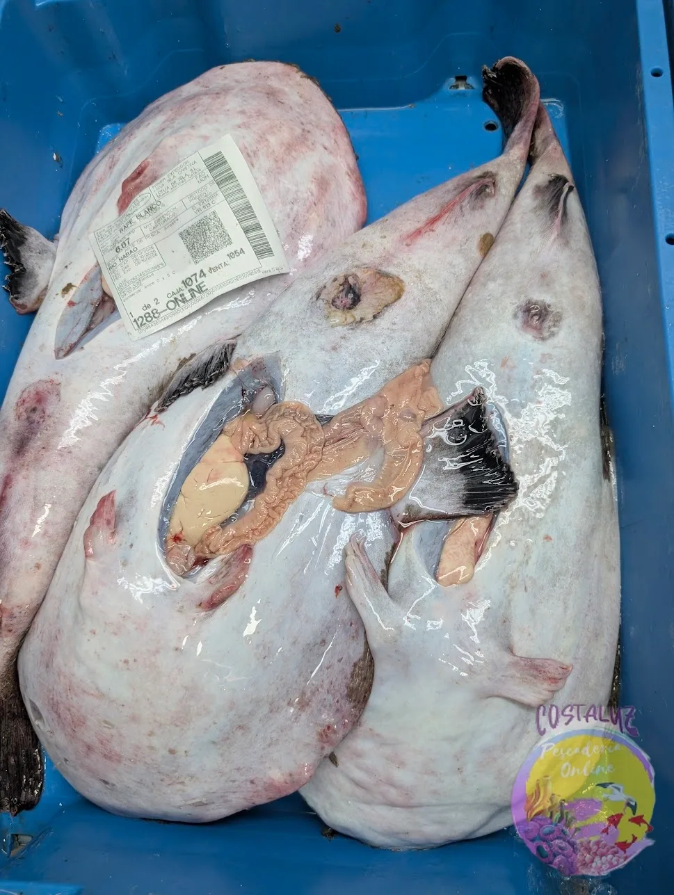 Comprar Rape Fresco de Huelva 1 kg Online — foto 2 de 3