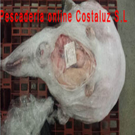 Comprar rape de Huelva a domicilio — foto 3 de 3