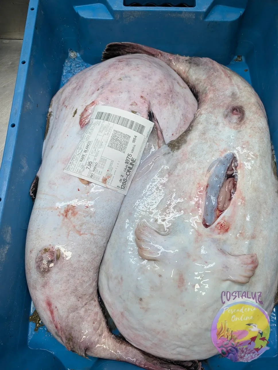 Comprar Rape Fresco de Huelva 1 kg Online — foto 3 de 3