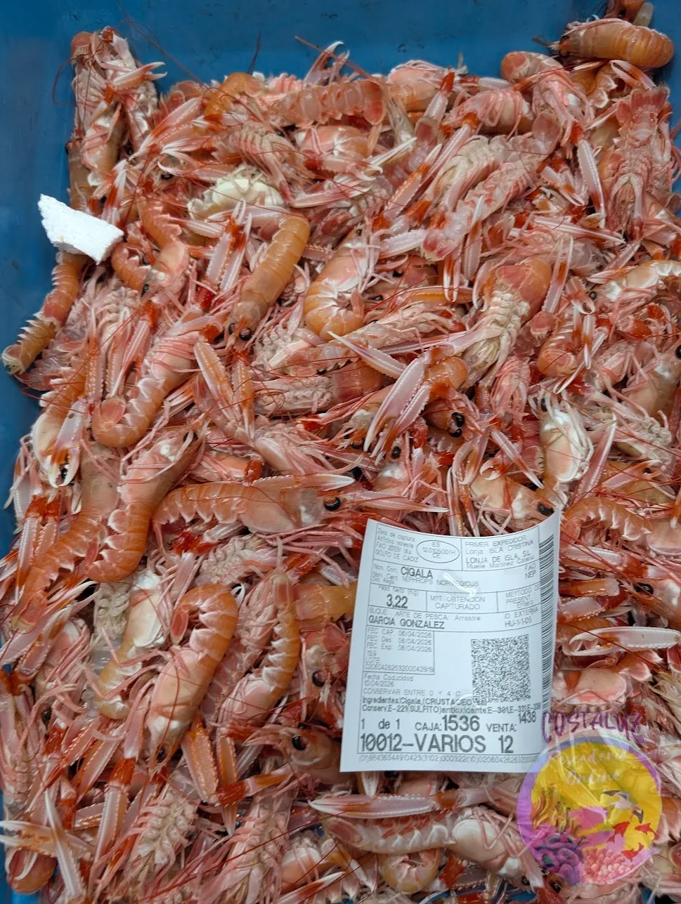 Cigalas de huelva frescas