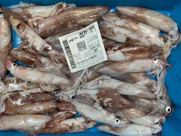 Comprar chipirón de Huelva fresco — foto 2 de 2