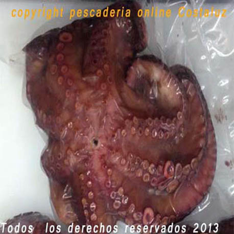 Pulpo cocido extra tierno