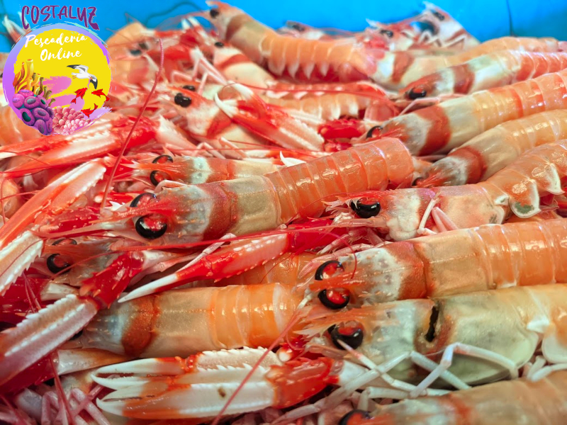 Cigalas de Huelva medianas