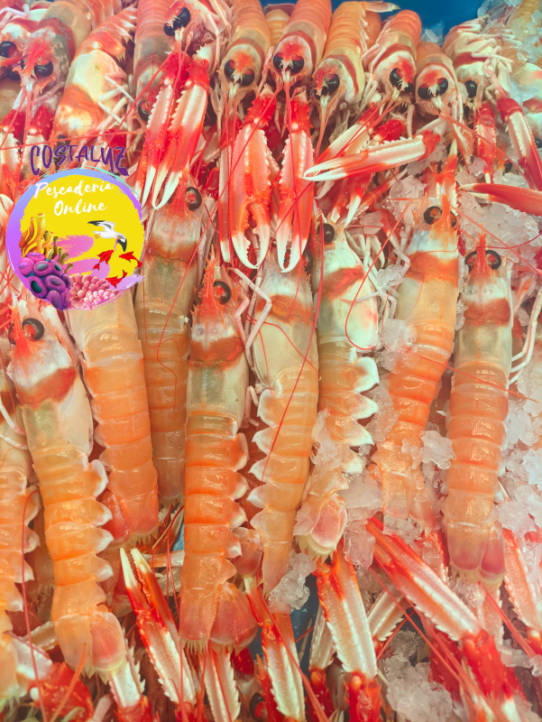 Cigalas frescas grandes para plancha