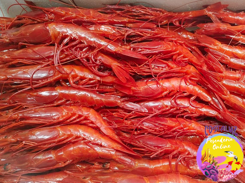 Comprar carabinero o brillante de Huelva a domicilio — foto 2 de 4