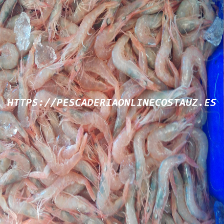 Gamba de Huelva extra a domicilio — foto 7 de 8
