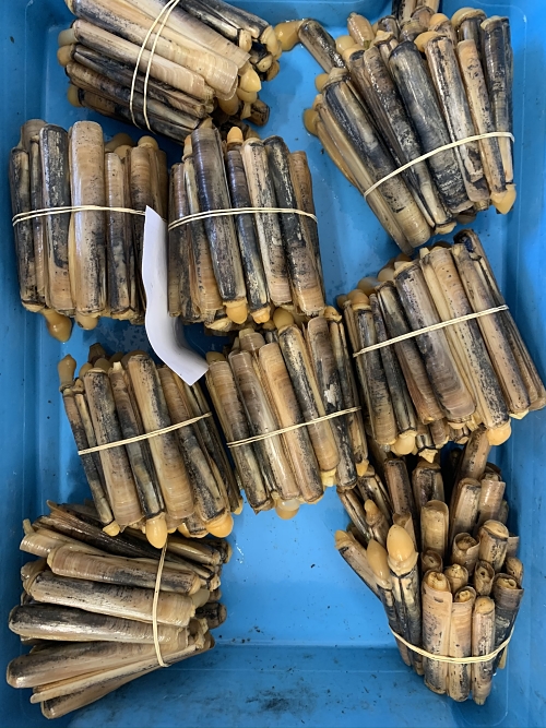Comprar longueron blanco de Huelva a domicilio — foto 3 de 3