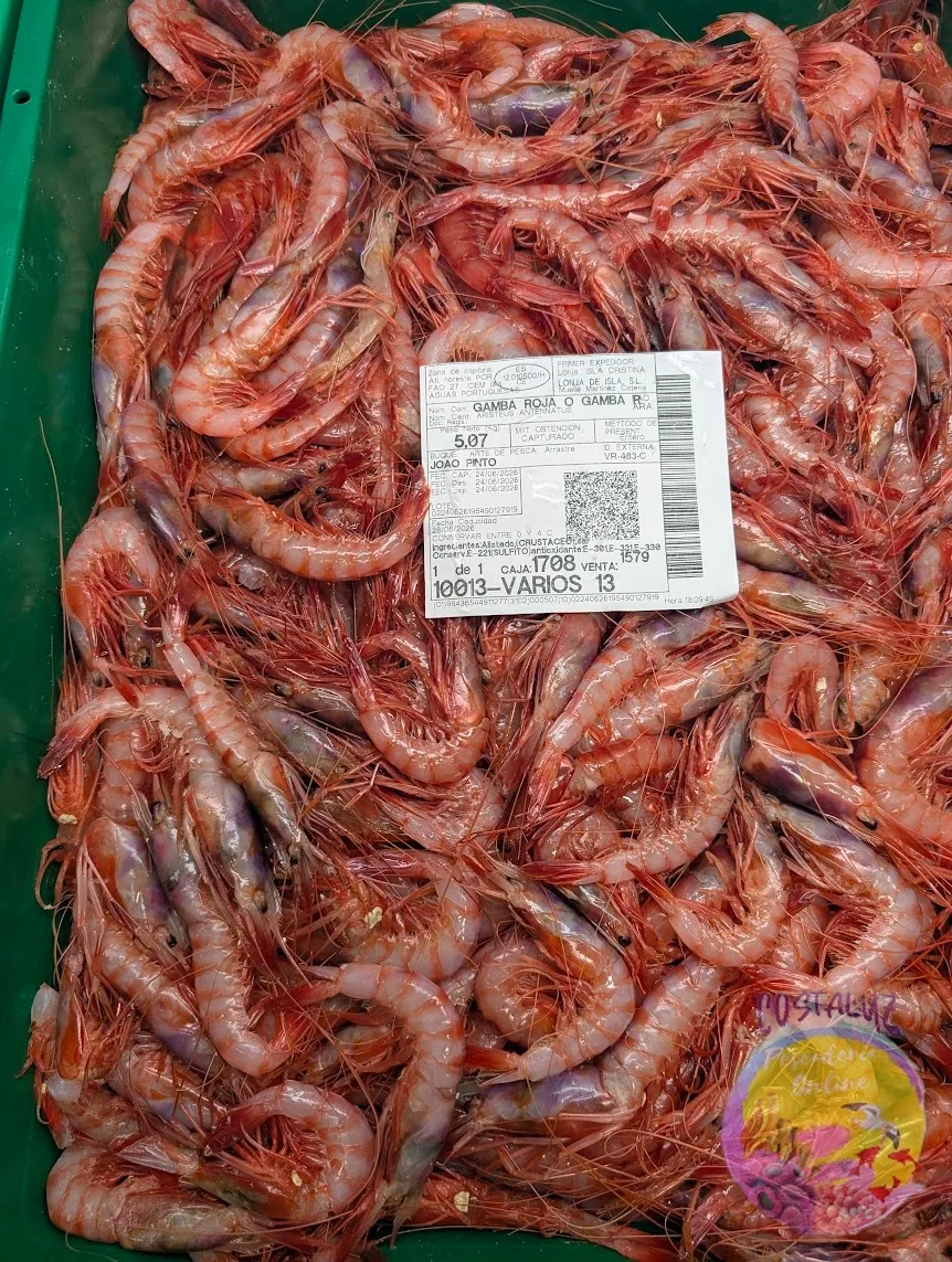 Gamba roja fresca a domicilio