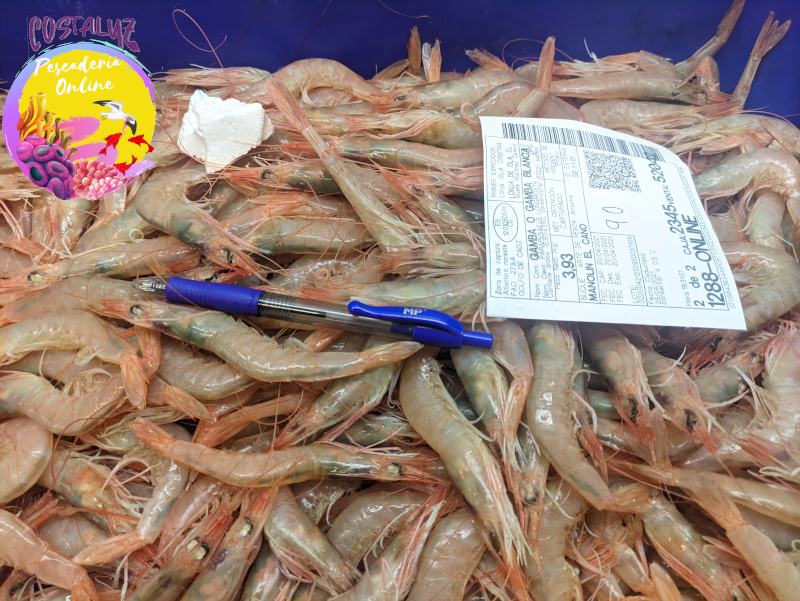 Gamba de Huelva especial para cocer