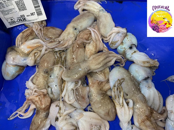 Pulpo blanco a domicilio