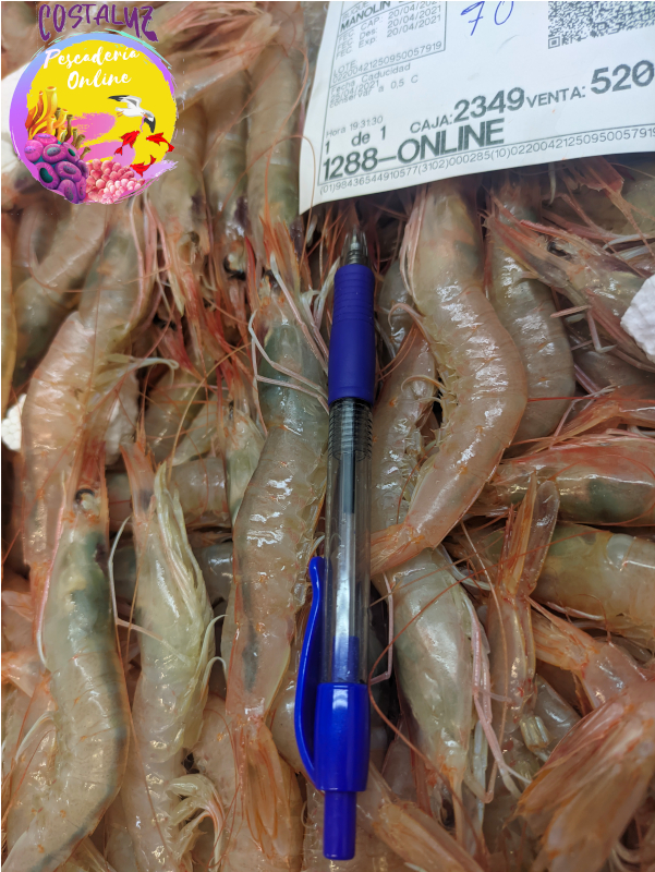 Gambas de Huelva para plancha