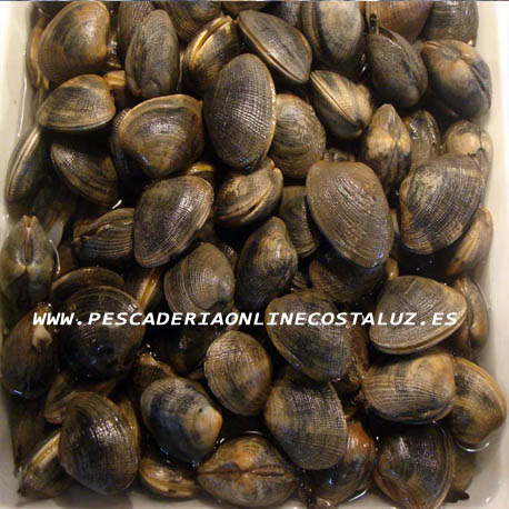 Comprar almeja fina de Huelva para comer cruda