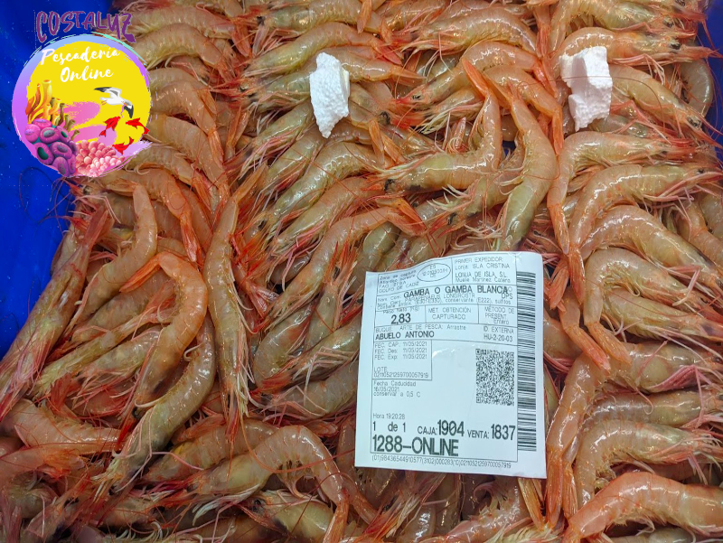 Gamba de Huelva para plancha grandes
