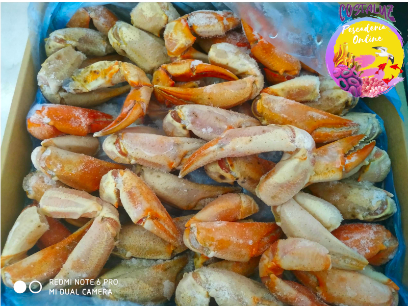 Bocas de cangrejo real XXL