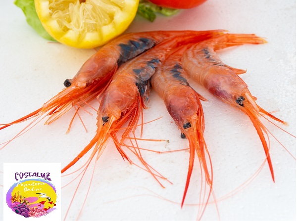 Quisquilla de Huelva frescas