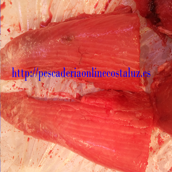 Comprar morrillo de atún rojo de almadraba