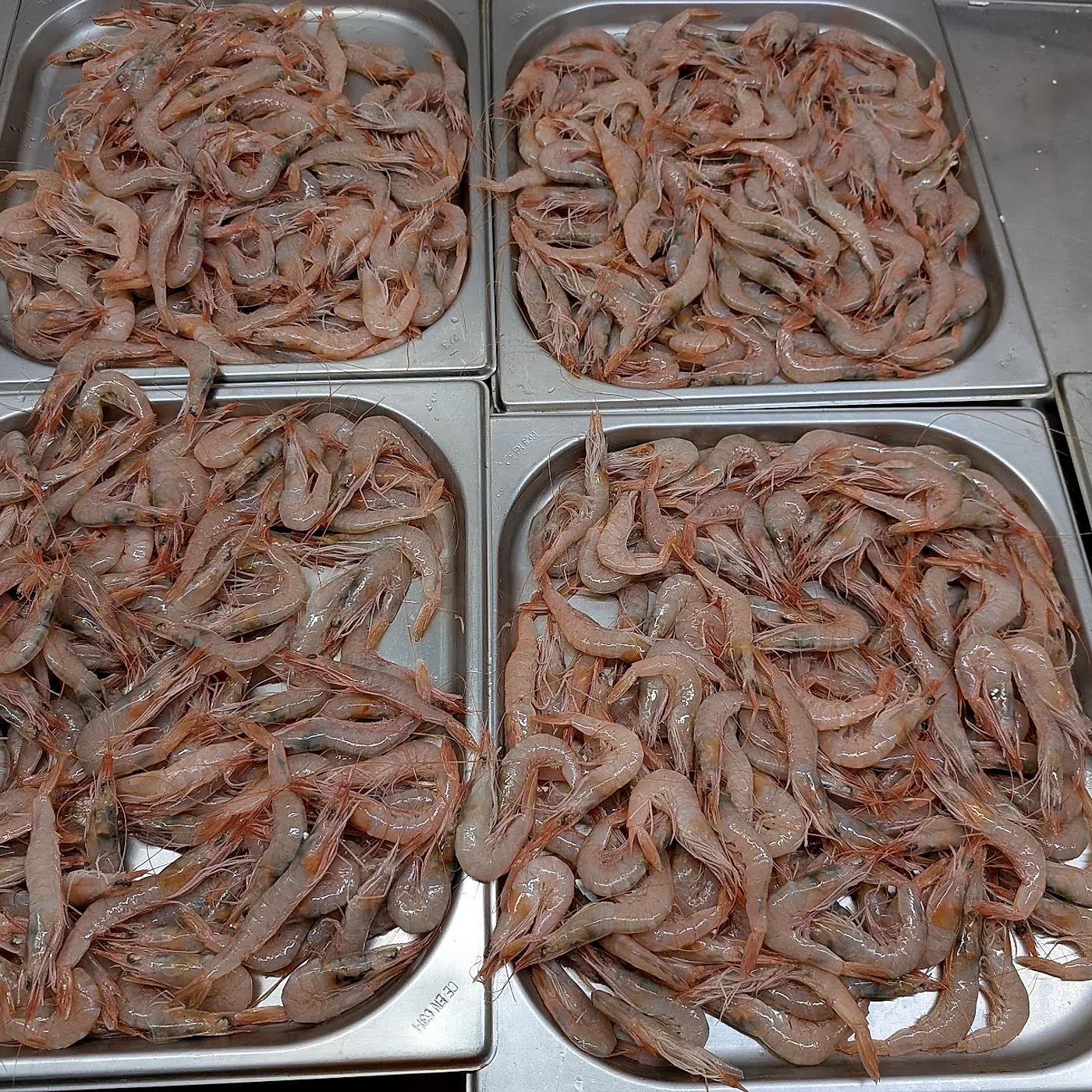 El arte de cocer marisco de Huelva